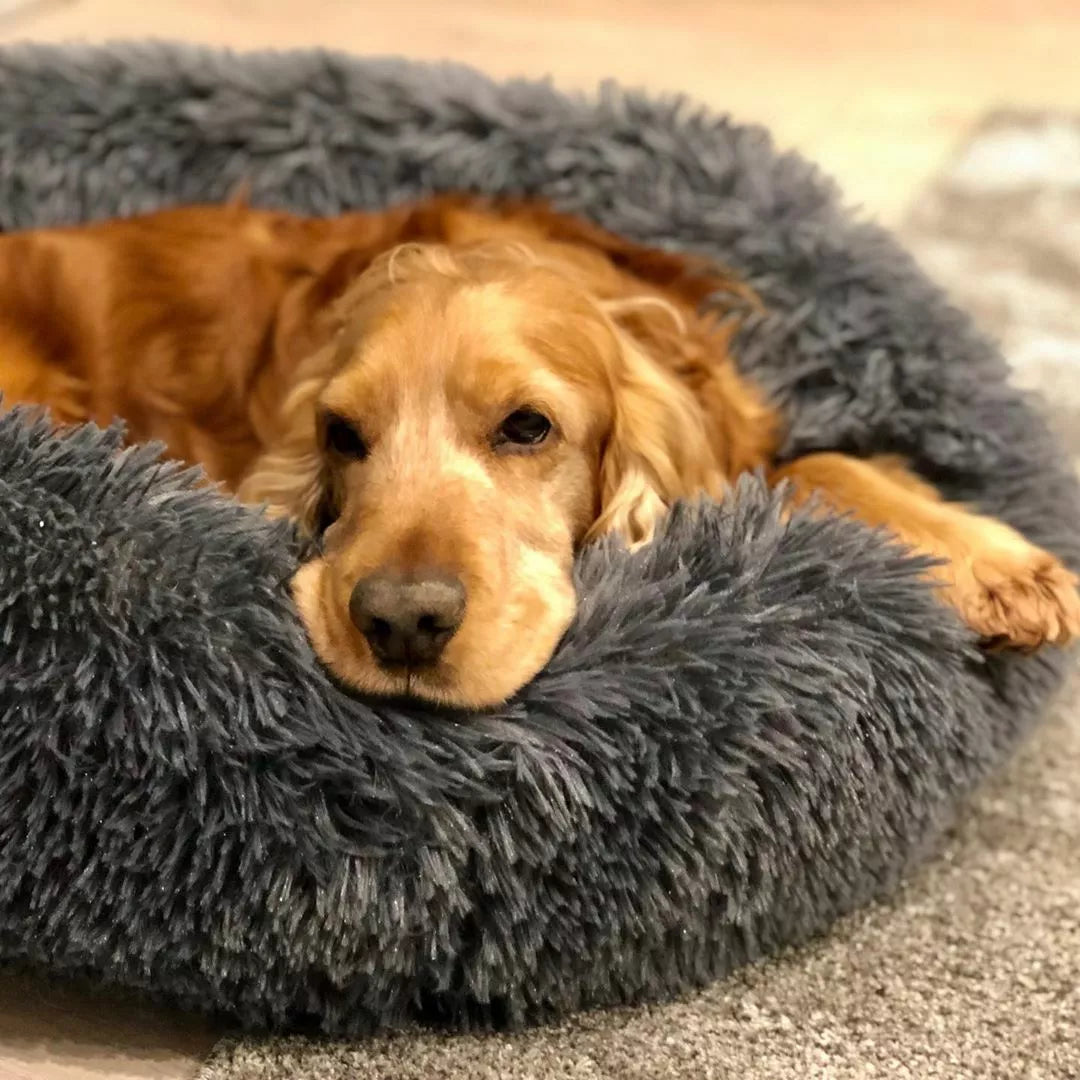 Calming Plush Bed